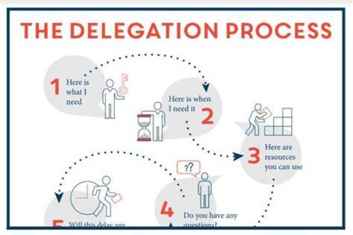 What is an at large delegate?