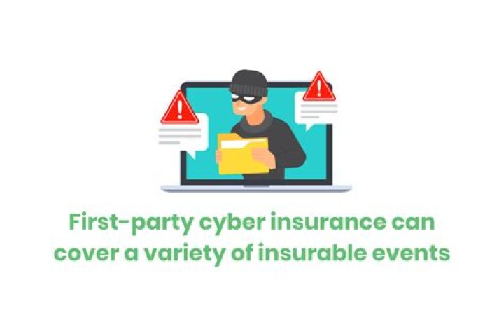 What is First Party Cyber coverage?
