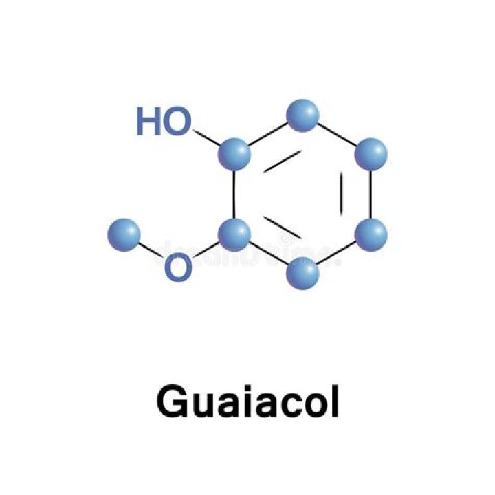 What is guaiacol found in?