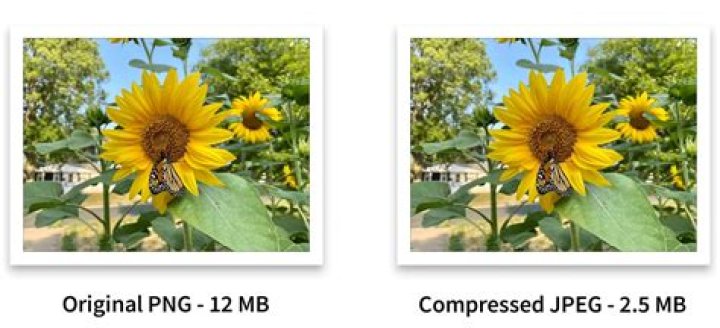 What is media file? | ContextResponse.com