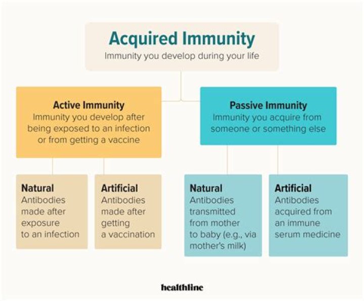 What is natural immunity?