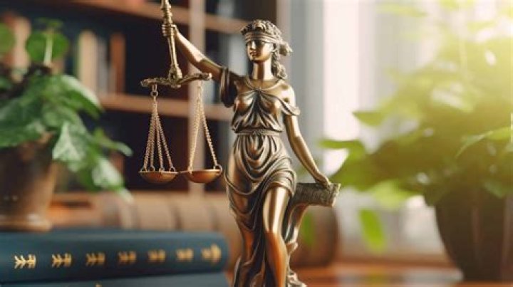 What is reasonableness criminal justice?