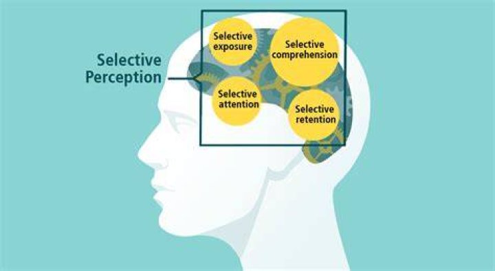 What is selective perception in marketing?