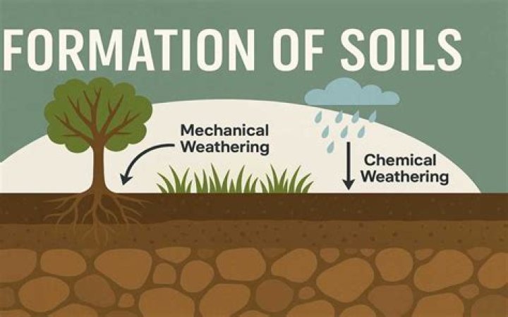 What is soil formation explain?