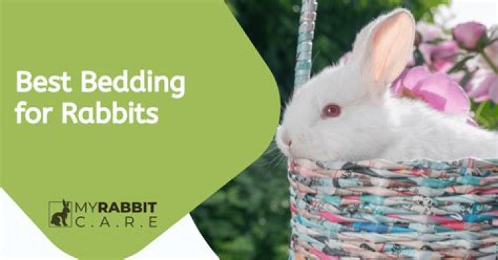 What is the best bedding for a rabbit?