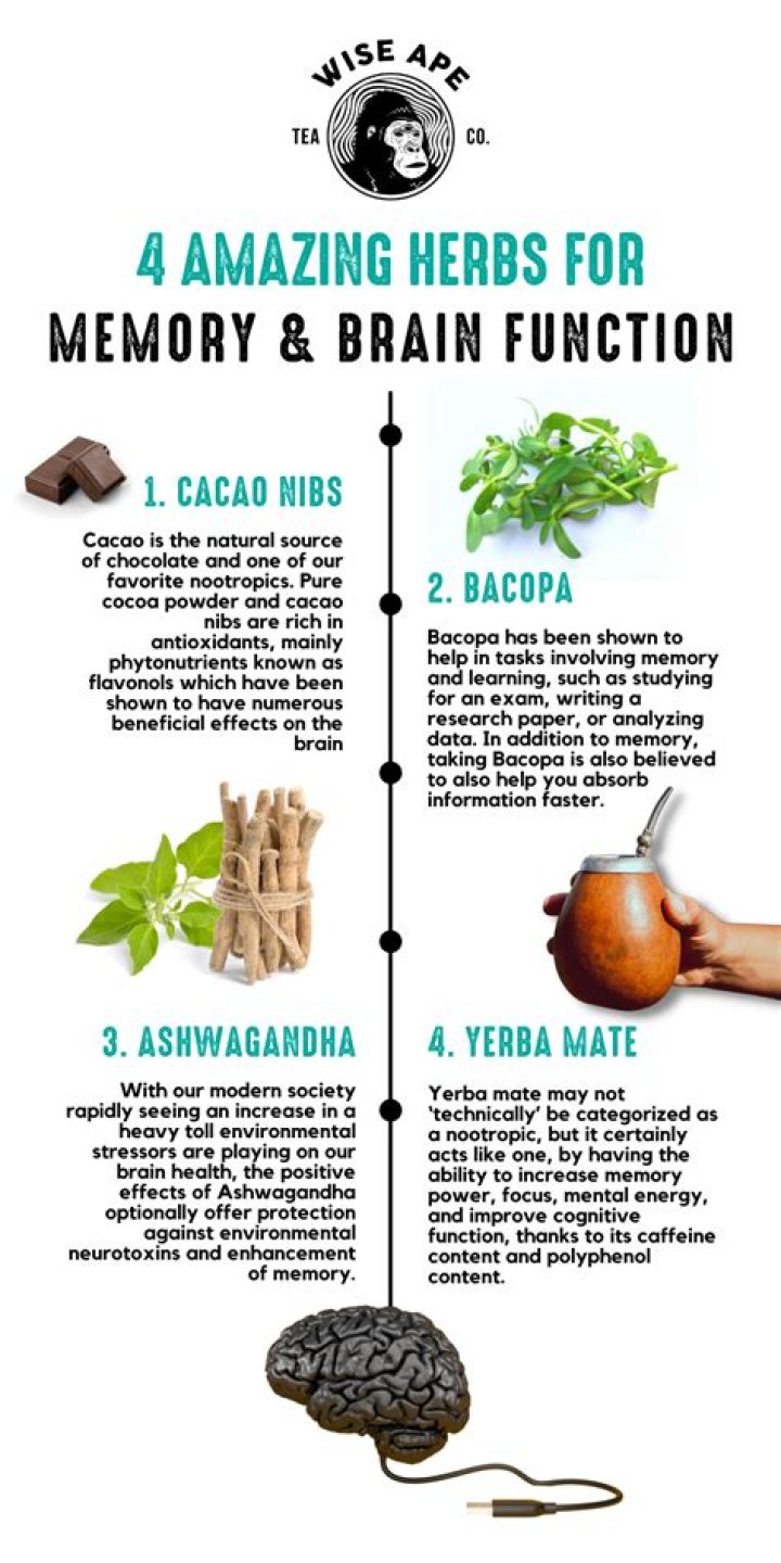 What is the best herb for the brain?