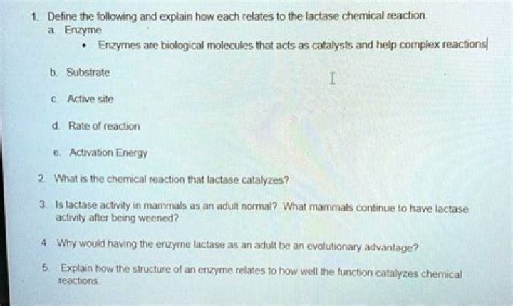 What is the chemical reaction that lactase catalyzes?