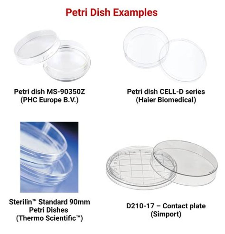 What is the diameter of a standard petri dish?
