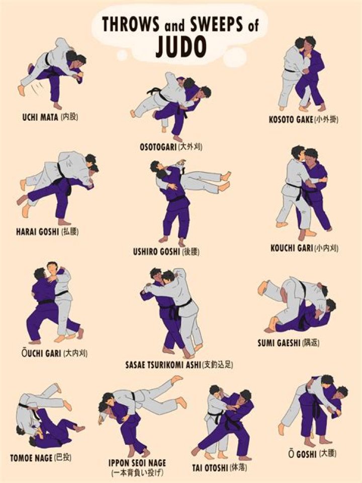 What is the difference between martial arts and Jiu Jitsu?