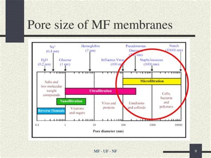 What is the difference between MF and UF?