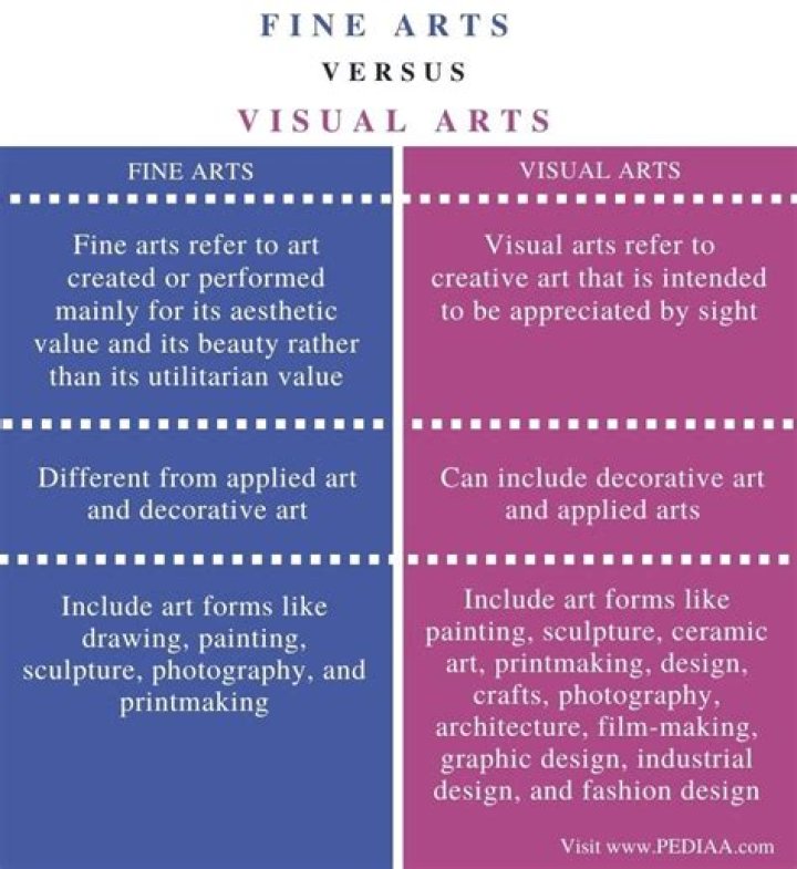 What is the difference between visual art and fine art?