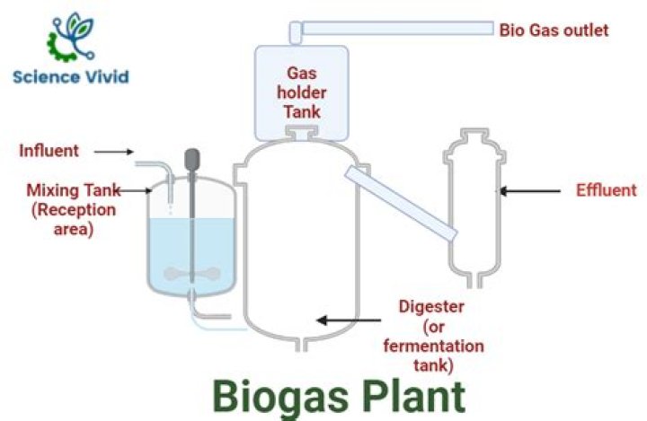 What is the main components of biogas?