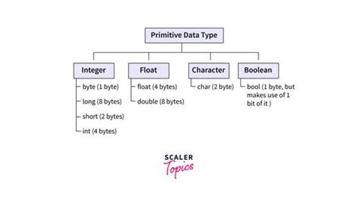 What is the meaning of non primitive?