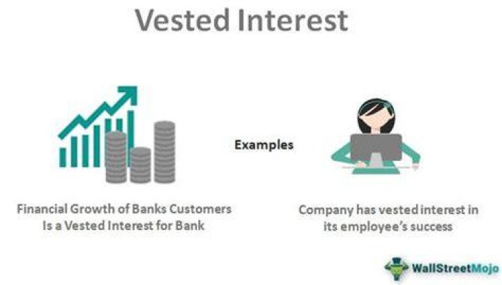 What is the meaning of vested shares?