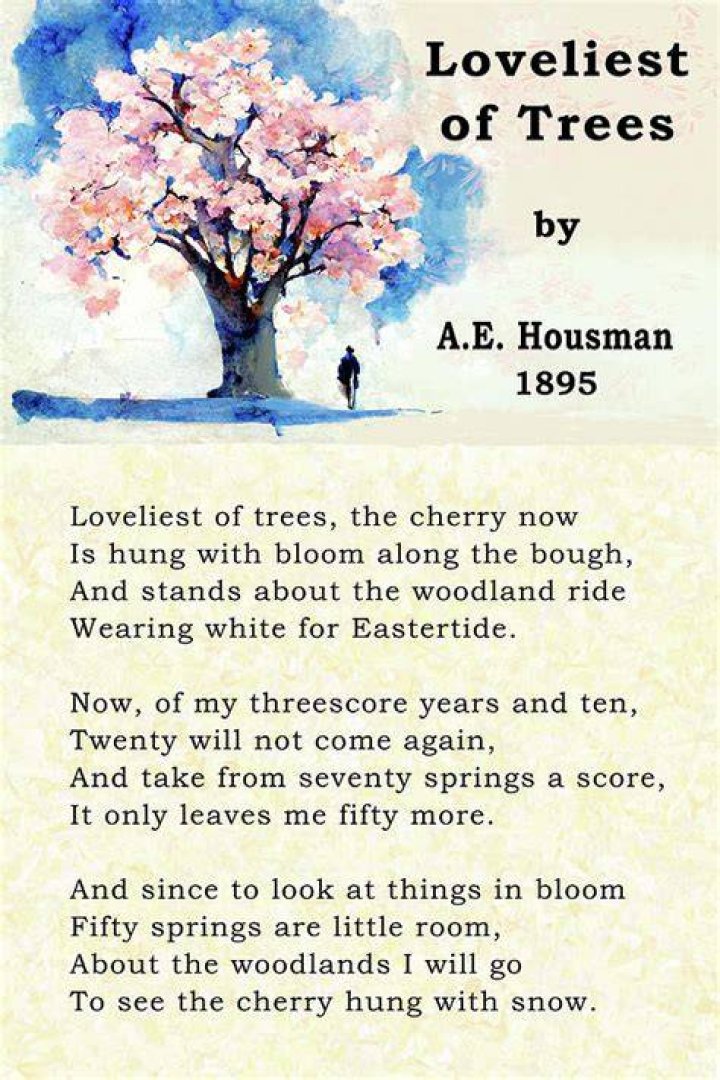 What is the poem Loveliest of trees about?