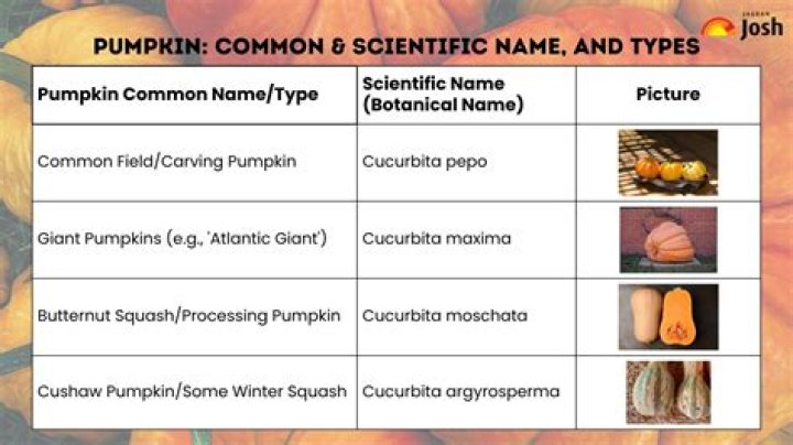 What is the scientific name for pumpkins?