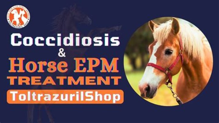 What is the treatment for EPM?