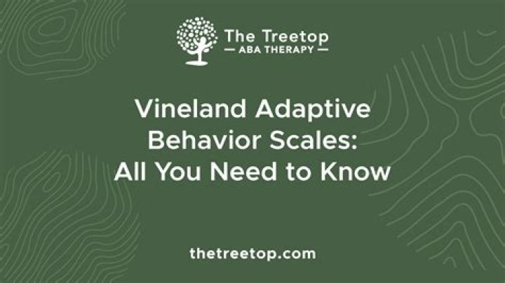 What is the Vineland Adaptive Behavior Scale used for?
