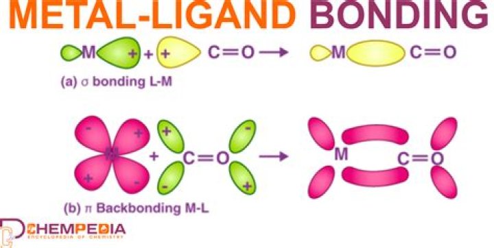 What kind of bond is a metal and a metal?