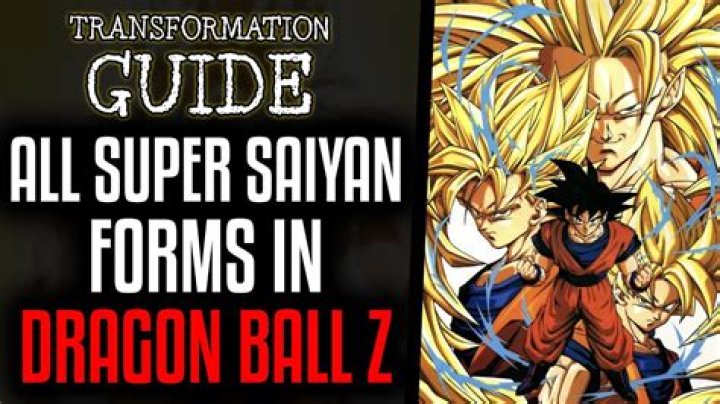 What Saiyan means? | ContextResponse.com
