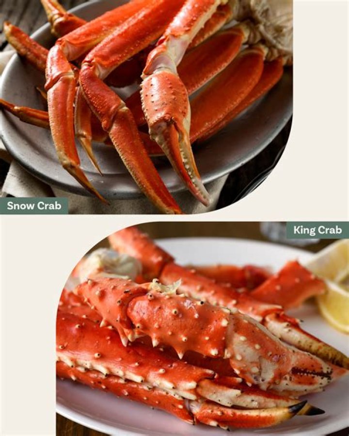 What tastes better snow crab or king crab?