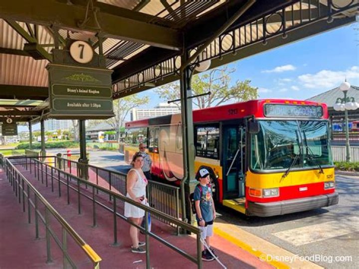 What time do Metro buses start running?