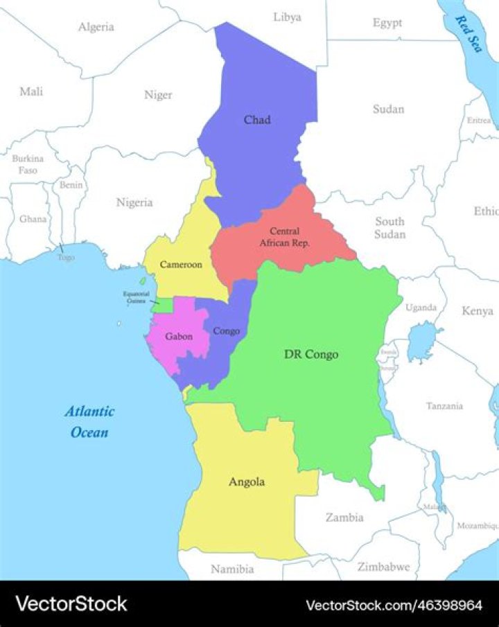 What type of environment covers a large portion of Central Africa?