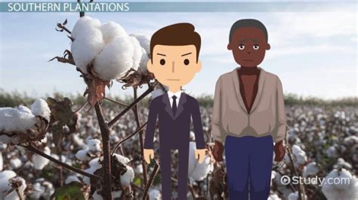 What was life on the plantation?