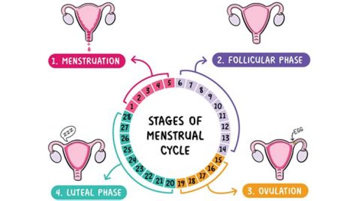 When a girl starts her period How long does it last?