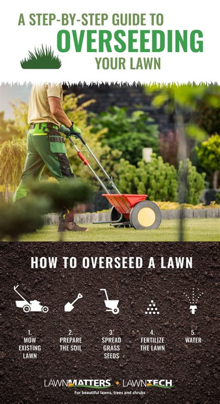 When should I overseed my lawn in Southern California?