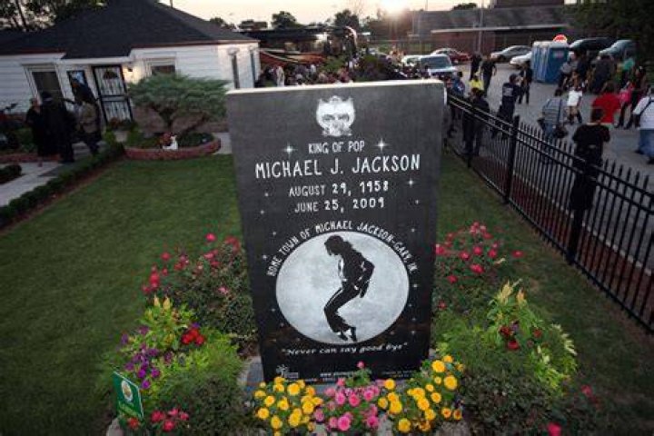 Where did Michael Jackson grow up?