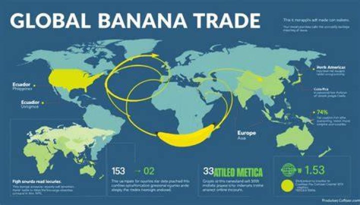 Where do we import bananas from?