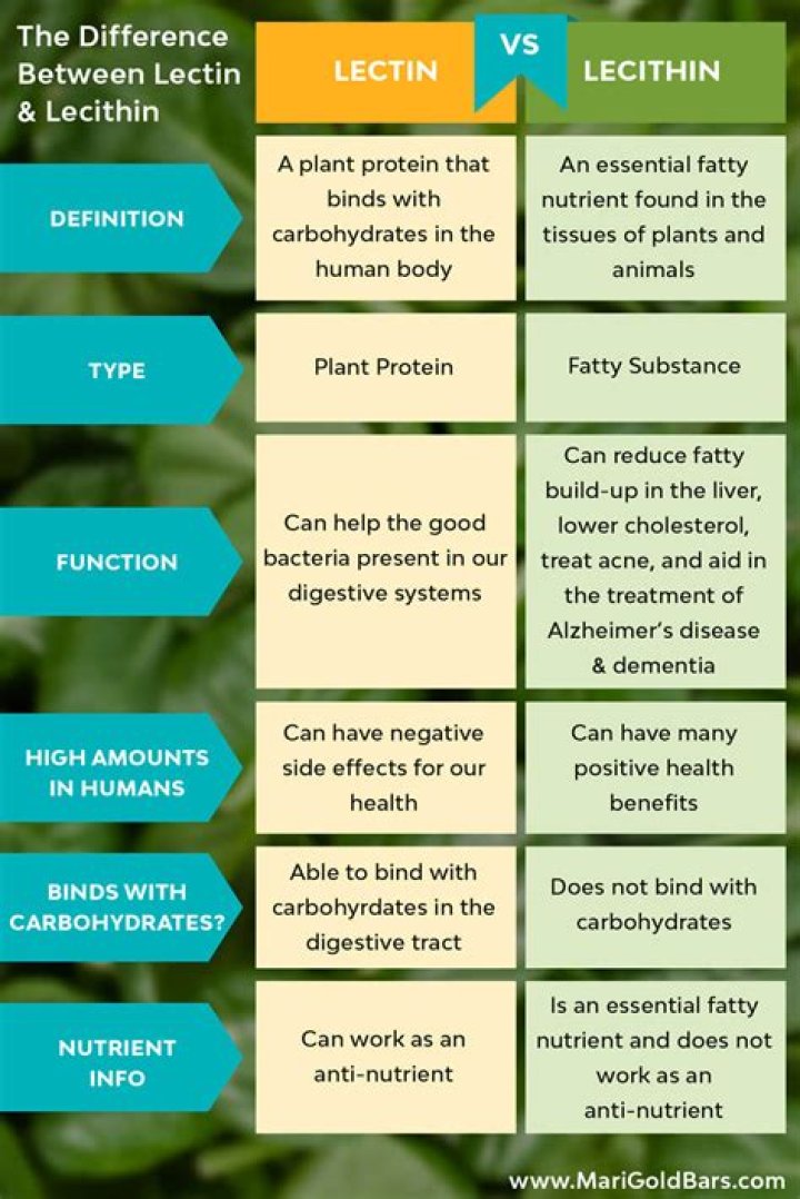 Which foods contain lecithin?