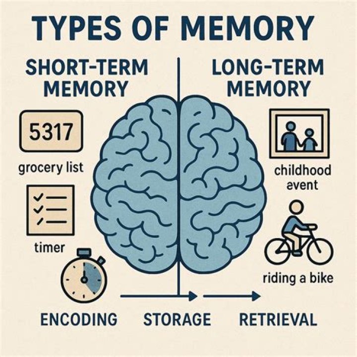 Which is a temporary memory?