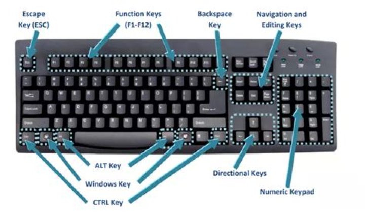 Which keys are known as cursor control keys?