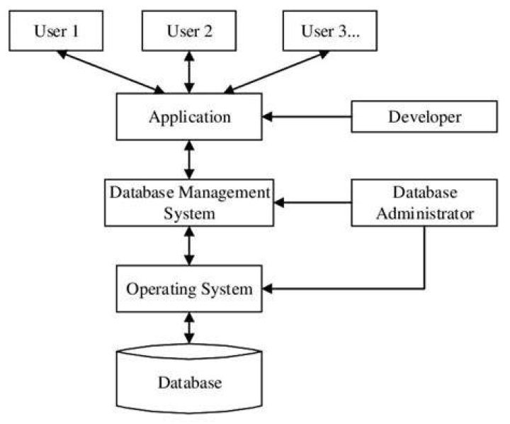 Which of the following are basic components of a database system?