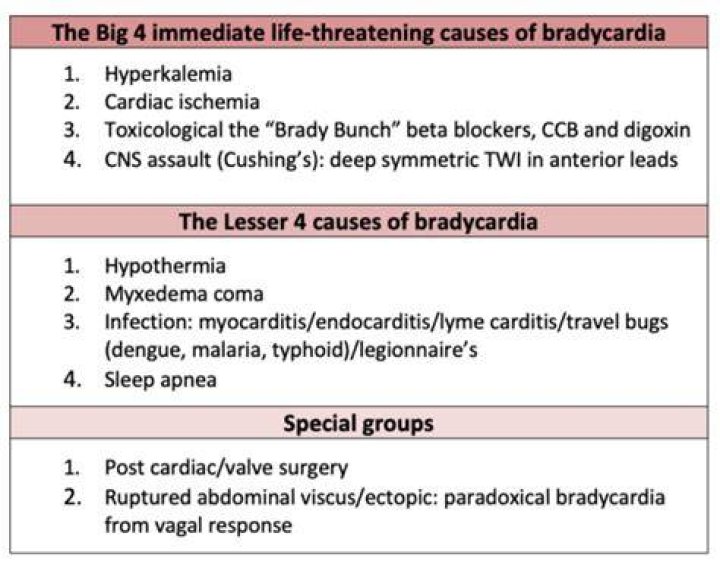 Which plant is most likely to cause Bradydysrhythmias?