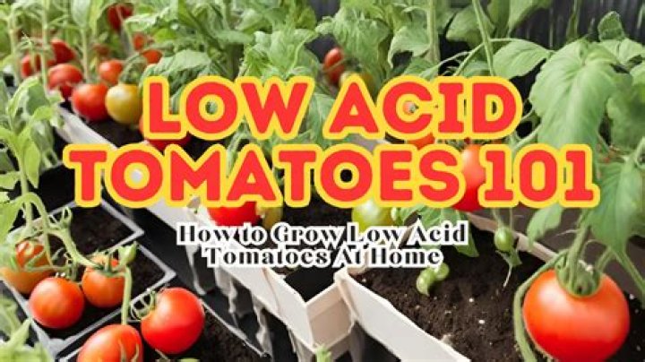 Which tomatoes are low in acid?