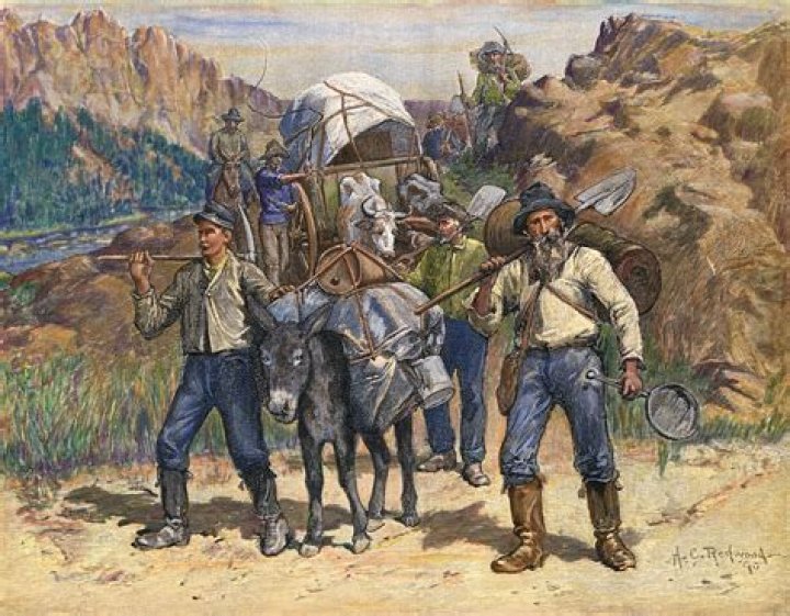 Who discovered gold in California?
