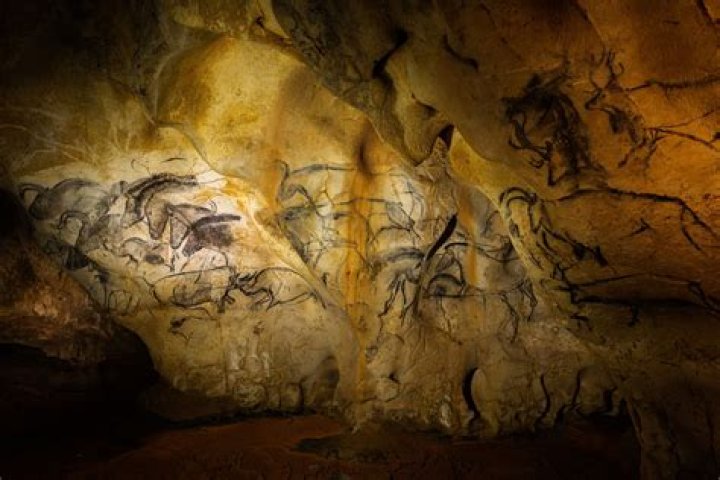 Who found the Chauvet cave?