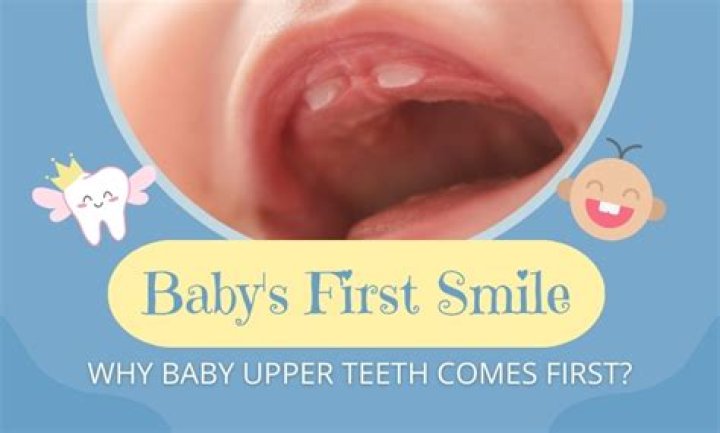Why do baby teeth exist?