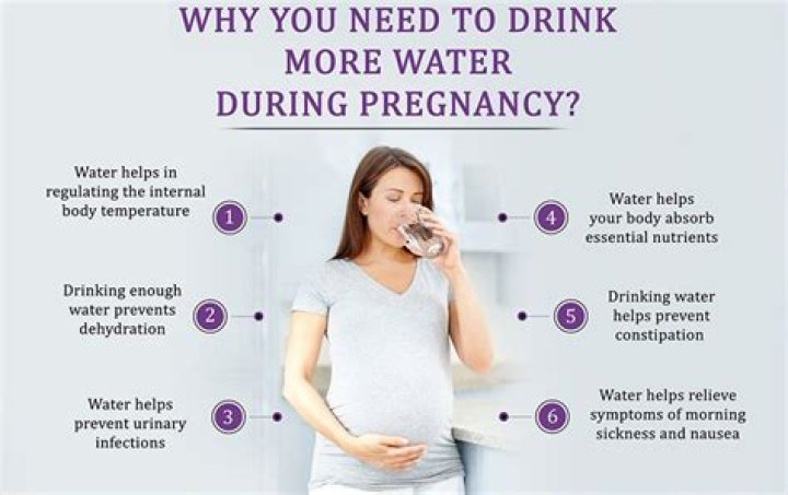 Why do I need to drink water before an ultrasound?
