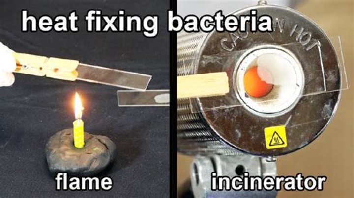 Why do you have to air dry your smears before you heat fix?
