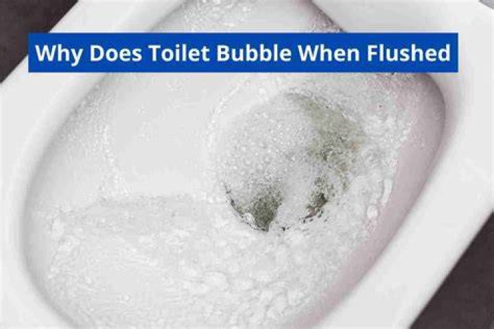 Why does my toilet bubble when it rains?