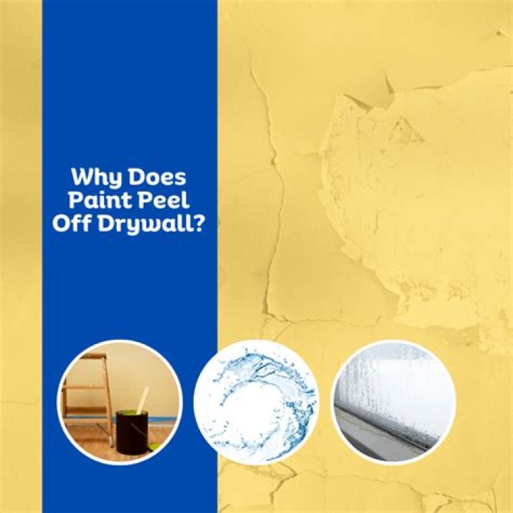Why does paint peel off drywall?