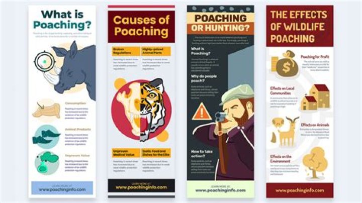 Why is poaching illegal? | ContextResponse.com