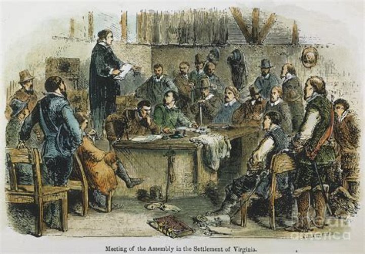 Why were colonial assemblies and colonial courts created and what did they do?